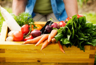 alimentacion