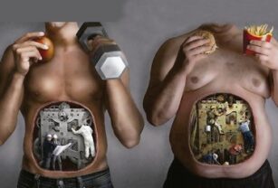 Metabolismo