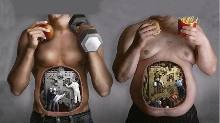 Metabolismo