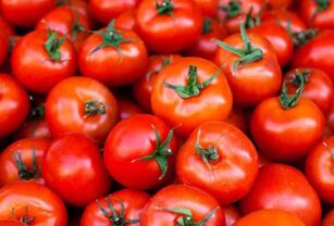 Tomate