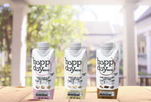 Happy Day -bebida-vegetal