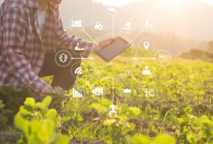 Innovación-para-la-agricultura