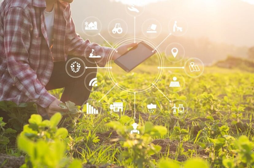 Innovación-para-la-agricultura