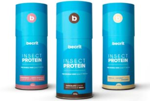 batidos-de-proteína- de-insectos