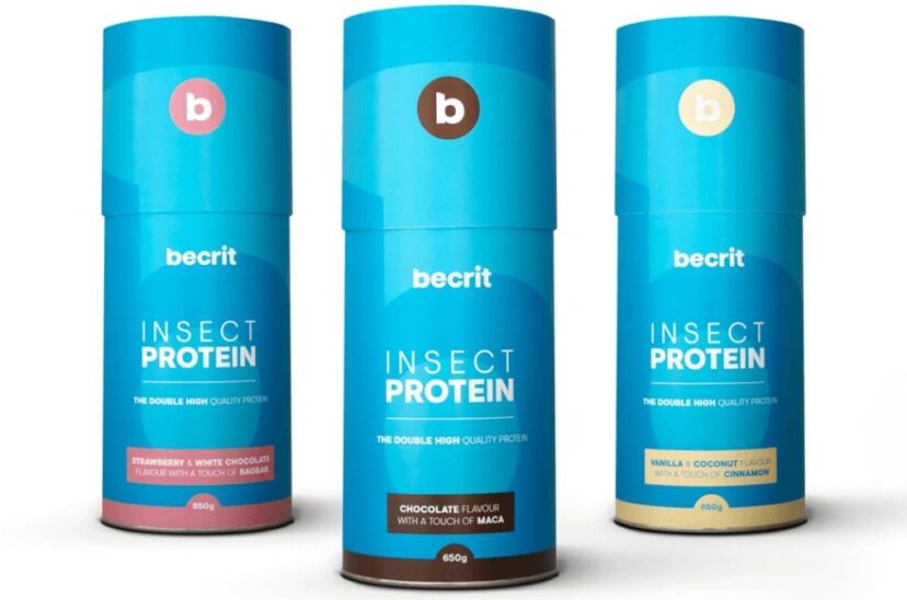 batidos-de-proteína- de-insectos