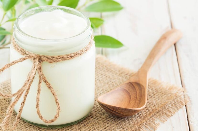 alimentos-probioticos-naturales