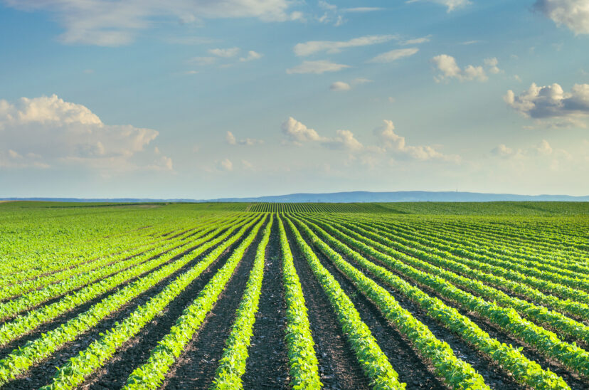 buenas-prácticas-agrícolas