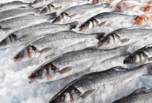 consumo-de-pescado-en-aumento