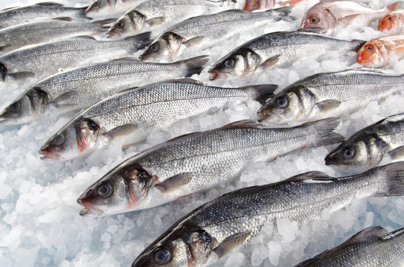 consumo-de-pescado-en-aumento