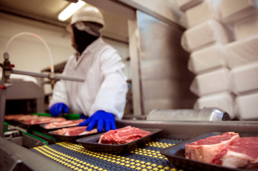 Manipulación segura de alimentos