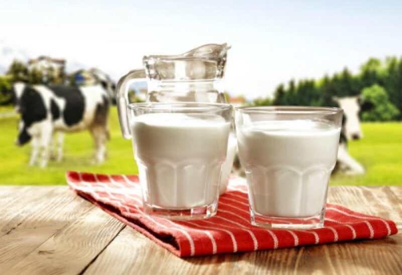 producción-de-leche