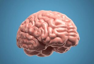 Neuropackaging: lo que en verdad quiere el consumidor