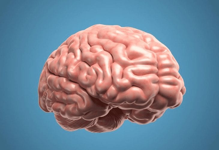 Neuropackaging: lo que en verdad quiere el consumidor