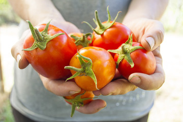fao-mercados-alimentaria