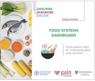 herramienta-food-system-dashboard