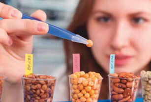 mercado-meta-productos-alimenticios