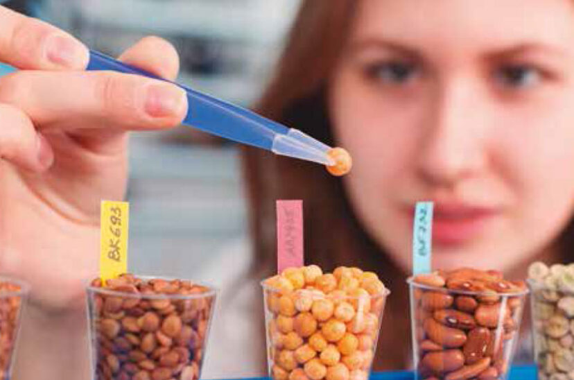 mercado-meta-productos-alimenticios