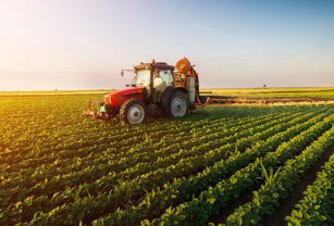 operación-empresa-agroindustrial