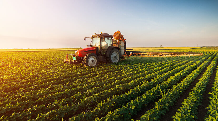 operación-empresa-agroindustrial