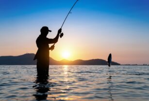 pesca-fao