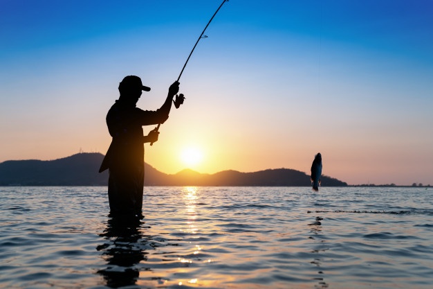 pesca-fao