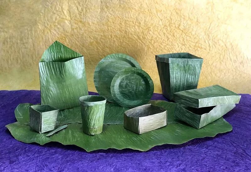 envases-a-base-de-plantas
