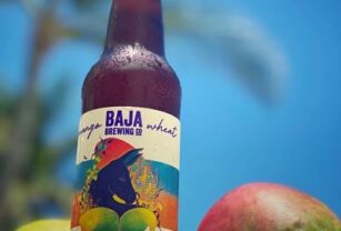 cerveza-artesanal-mango