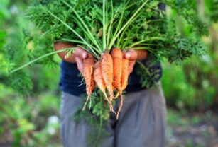 yara-agricultura