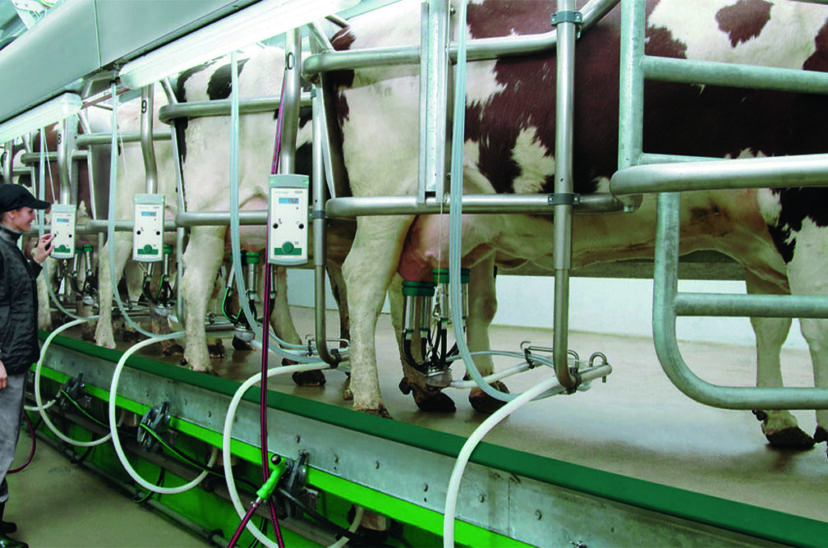 producción-de-leche-de-calidad
