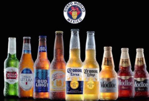 grupo-modelo