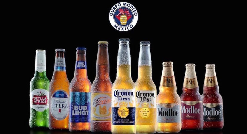 grupo-modelo