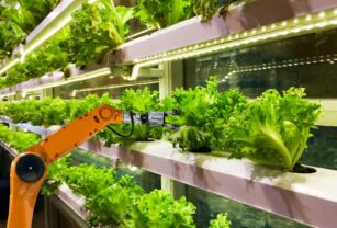industria-4-0-en-alimentos-y-bebidas