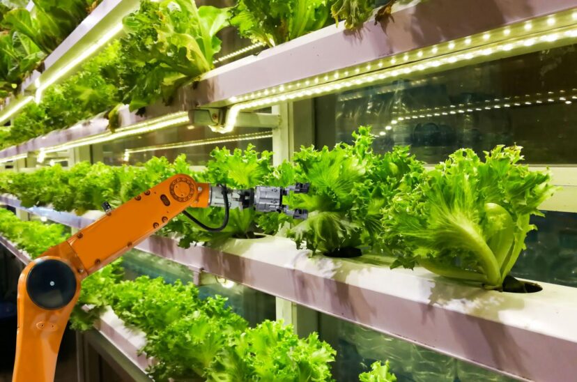 industria-4-0-en-alimentos-y-bebidas