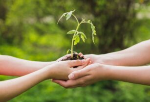 sustentabilidad-danone