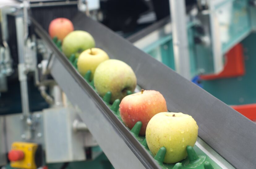 tecnología-en-industria-de-alimentos-y-bebidas