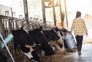 Eastman se unió a Vansun Technologies para producir máquinas automáticas de ordeño de vacas fabricadas con el copoliéster Tritan.
