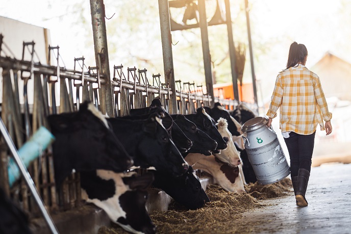 Eastman se unió a Vansun Technologies para producir máquinas automáticas de ordeño de vacas fabricadas con el copoliéster Tritan.