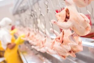 Tratamiento-microbiano-pollo