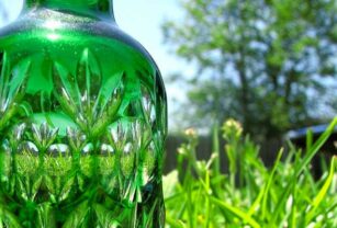 bioplasticos