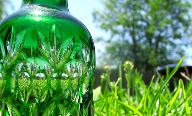 bioplasticos