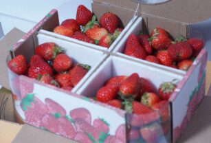 embalaje-de-fresas