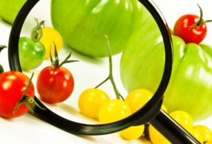 seguridad-alimentaria-en-el-contexto-del-covid