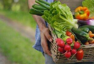 El 29 de octubre se llevará a cabo el webinar gratuito "Tendencia plant-based, dos perspectivas sobre innovación y oportunidades".