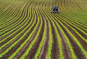 DuPont Nutrition lanza Danisco Planit™, una oferta integrada de ingredientes y servicios para dar respuesta a la tendencia plant-based.