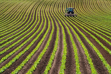 DuPont Nutrition lanza Danisco Planit™, una oferta integrada de ingredientes y servicios para dar respuesta a la tendencia plant-based.