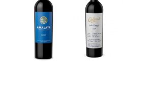 Vinos-argentinos-son-reconocidos