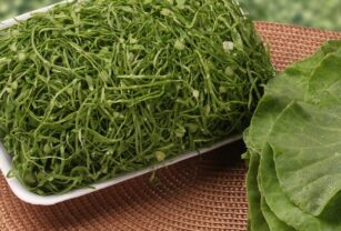 alimentos-funcionales