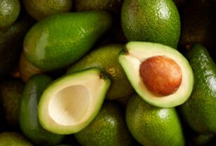 bases-mejorar-calidad-aguacate