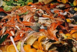 desperdicio-de-alimentos