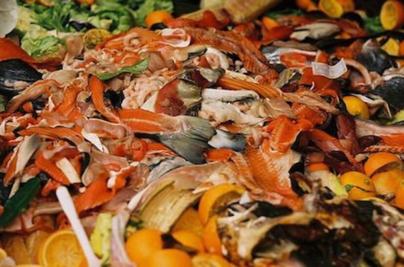 desperdicio-de-alimentos